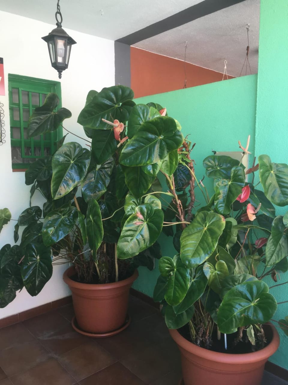 Casa Angeles House in La Palma