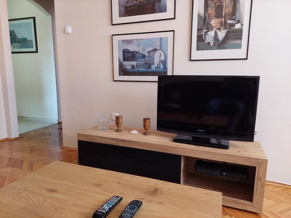 TV and multimedia