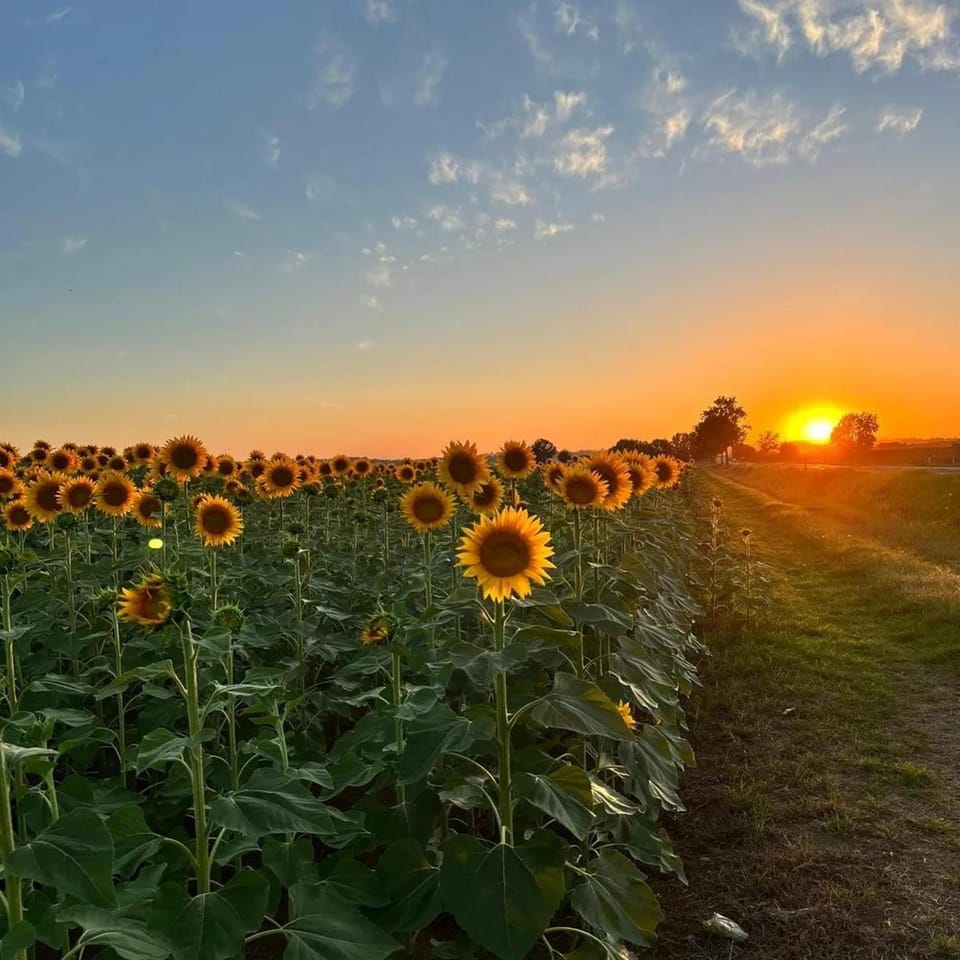 Natural landscape, Sunset