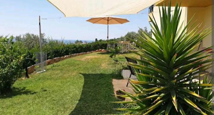 Panorama Olive Garden Apartment House in Evros, Greece