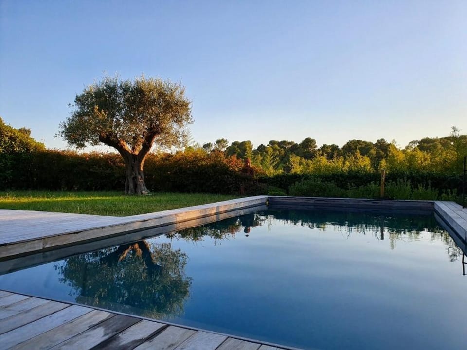 Natural landscape, Pool view, Swimming pool