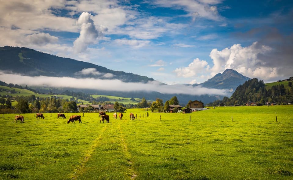 Mountain view