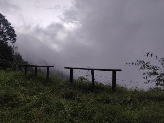 Natural landscape, Dining area