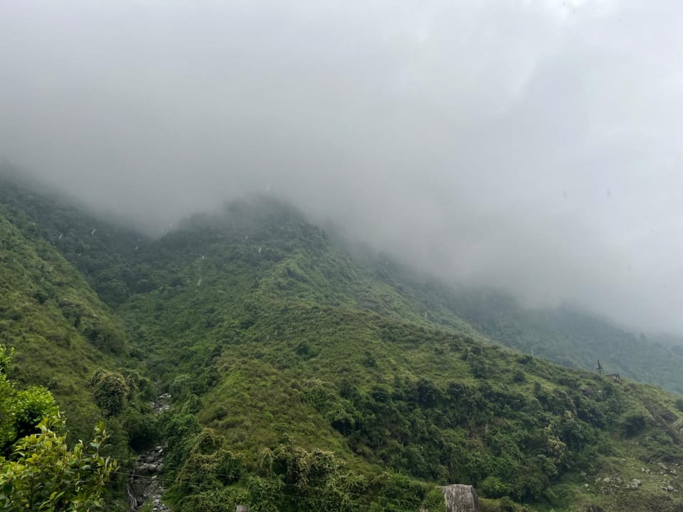 View (from property/room)