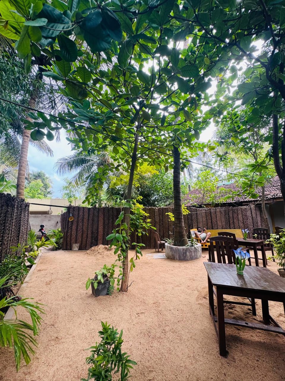 Patio, Natural landscape, Garden, Dining area, Garden view
