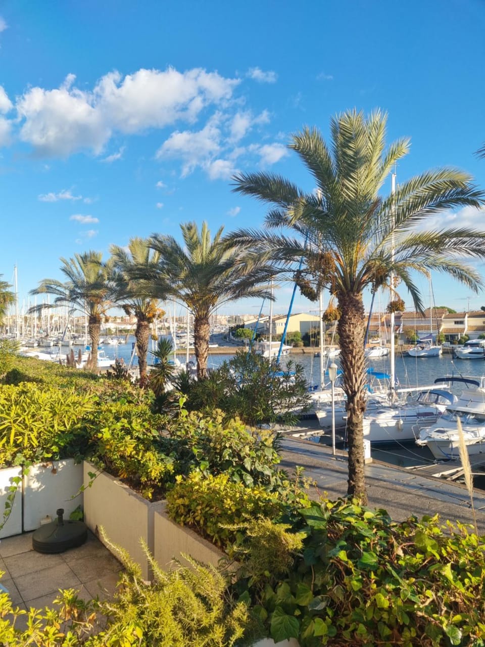 Cap Capistol Studio avec terrasse, vue port Apartment in Agde
