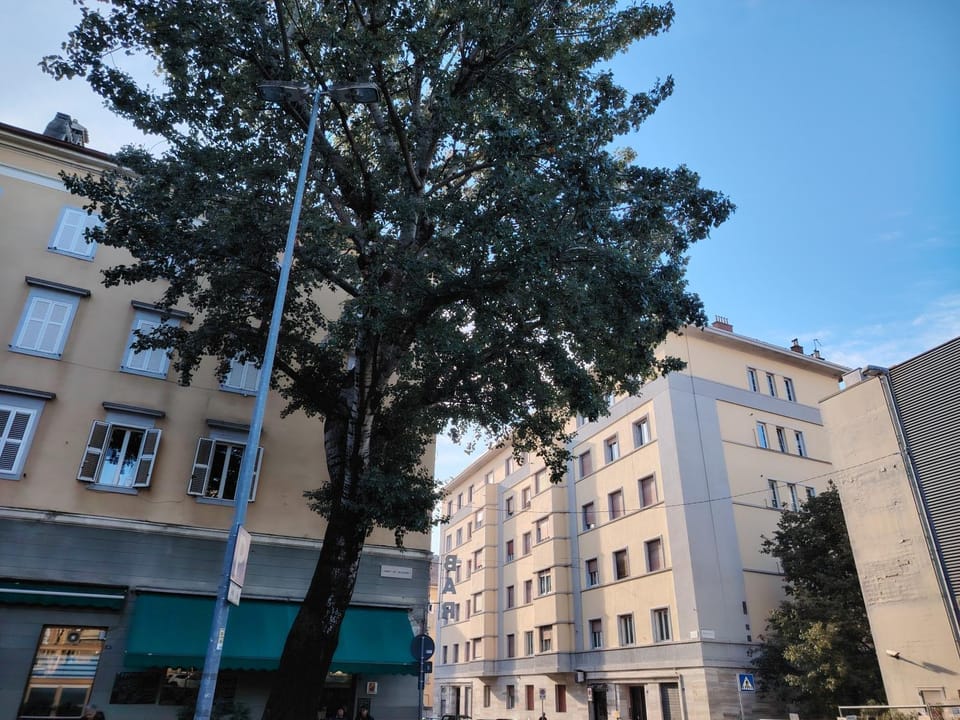 Property building, Neighbourhood