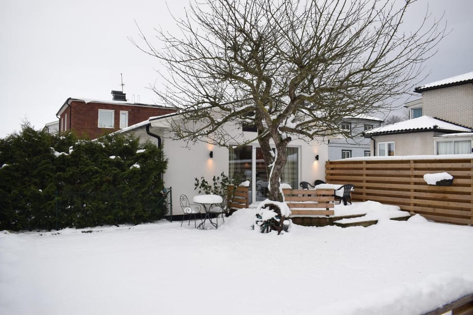 Winter, Garden