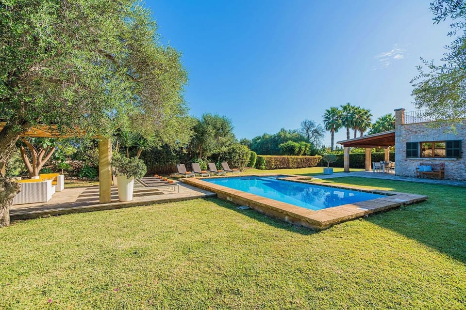 Garden, Garden view, Pool view, Swimming pool, Swimming pool, sunbed
