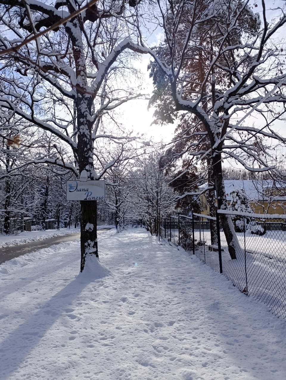 Winter