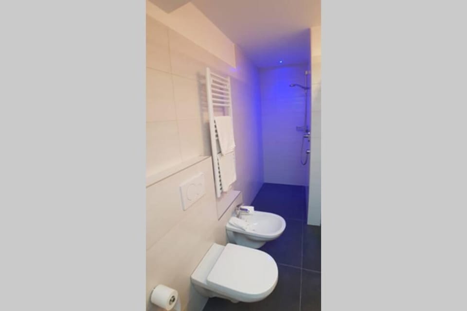 Shower, Toilet, Bathroom, bidet