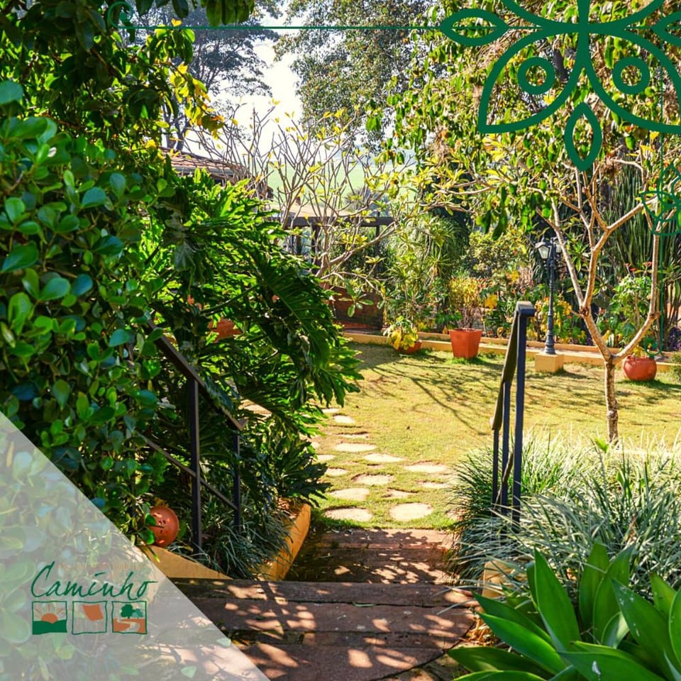 Day, Natural landscape, Garden, Garden, Garden view