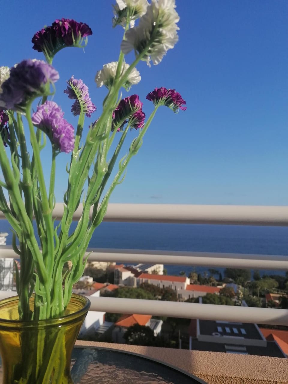 Lido Funchal Apartment balcony sea view Apartment in Funchal