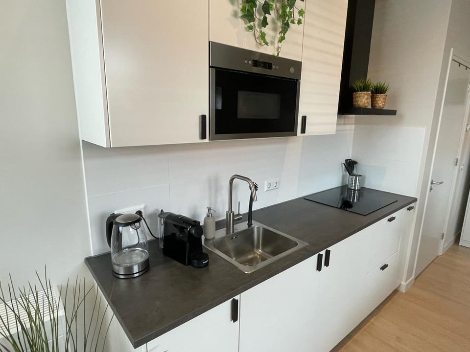 Kitchen or kitchenette, minibar, pet friendly, stove