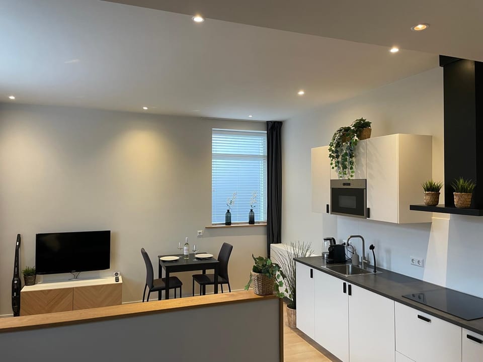 TV and multimedia, Kitchen or kitchenette, Dining area, minibar, pet friendly, stove