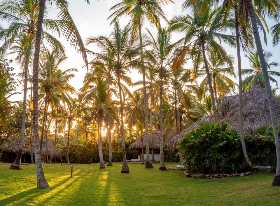 Natural landscape, Garden