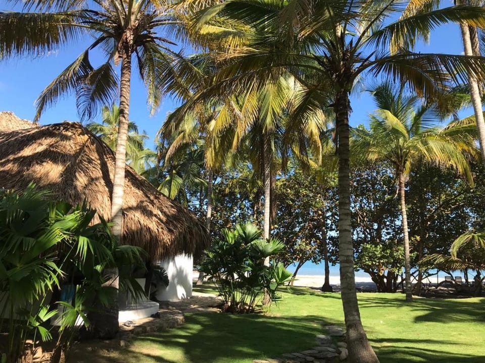Natural landscape, Garden view