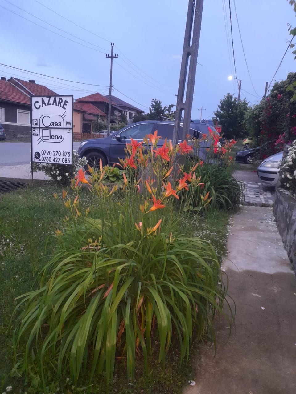Street view, Parking