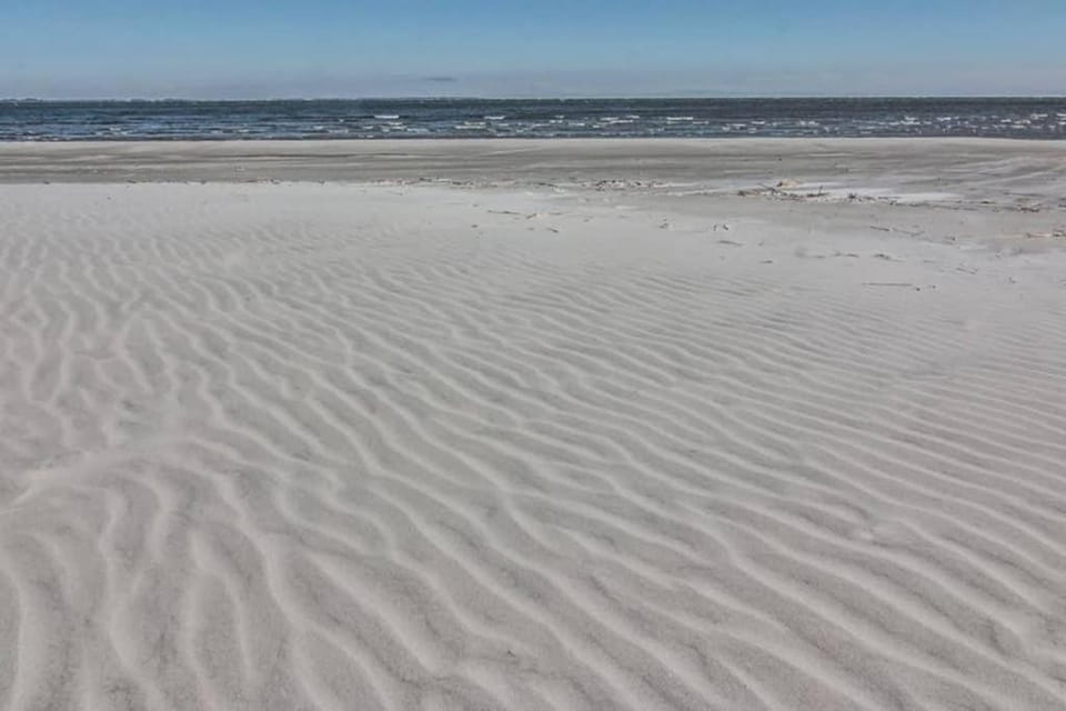 Pelican Point Unobstructed Beach Views Beach Access out back door! House in South Carolina