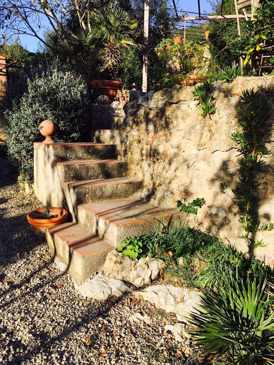 Garden, acessibility