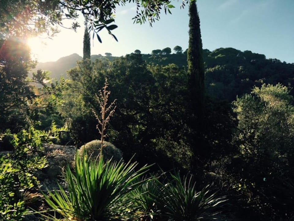 Natural landscape, Garden, Garden view