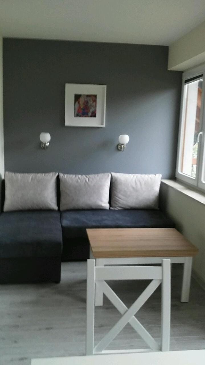 Apartament Exclusive Cieśliska Apartment in Lesser Poland Voivodeship