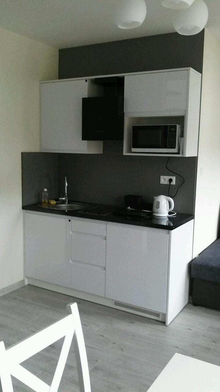 Apartament Exclusive Cieśliska Apartment in Lesser Poland Voivodeship