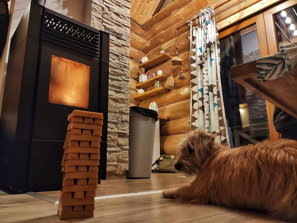Kitchen or kitchenette, Pets