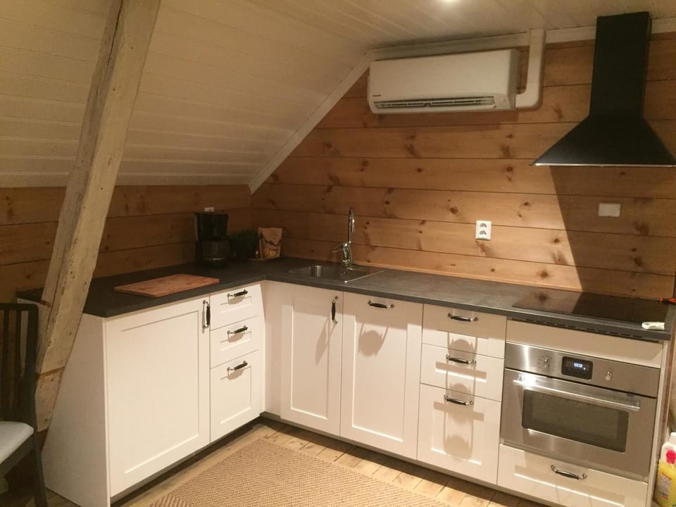 Kitchen or kitchenette, dishwasher, pet friendly, stove