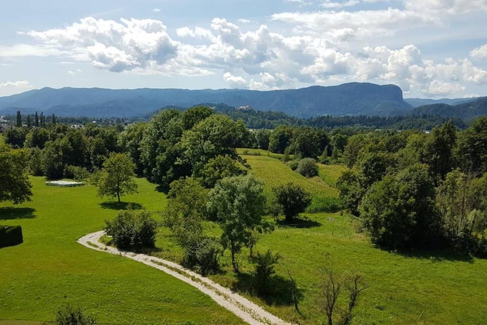 Castle View Nest Apartment in Carinthia, Austria