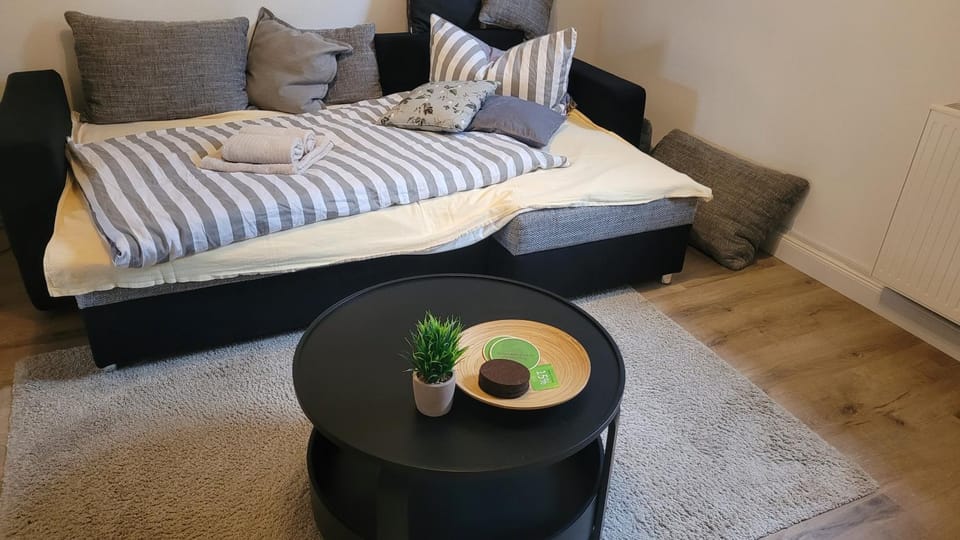 Bed, Living room, Photo of the whole room, Seating area, Bedroom