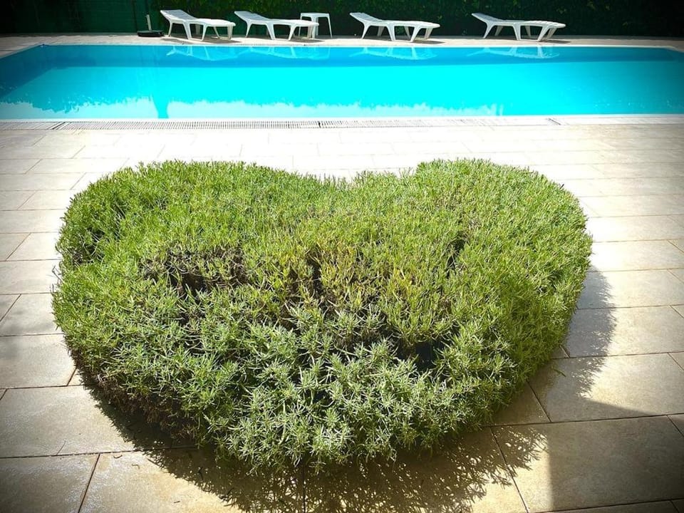 Pansion Margerita Bed and Breakfast in Poreč