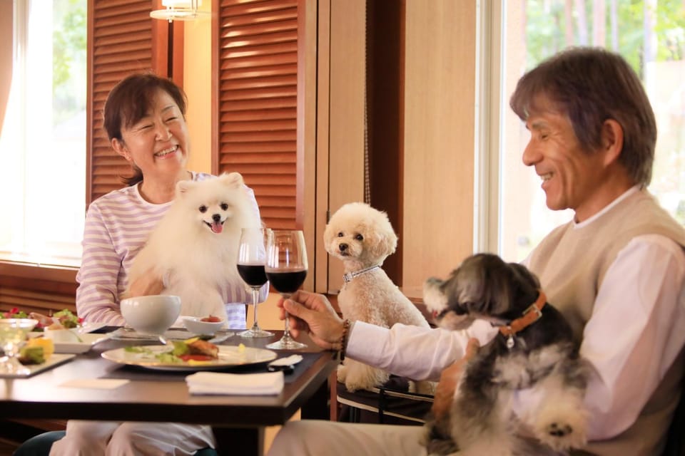 Restaurant/places to eat, People, Animals, Food, Pets, Guests, Area and facilities, Meals