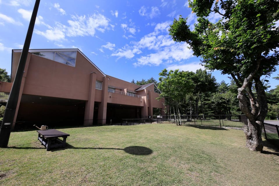 Garden, Pets, Area and facilities