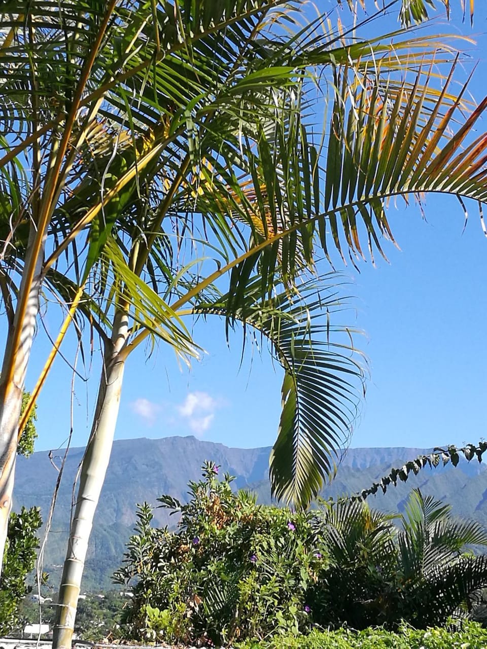 Meublé chez Gilbert Apartment in Réunion