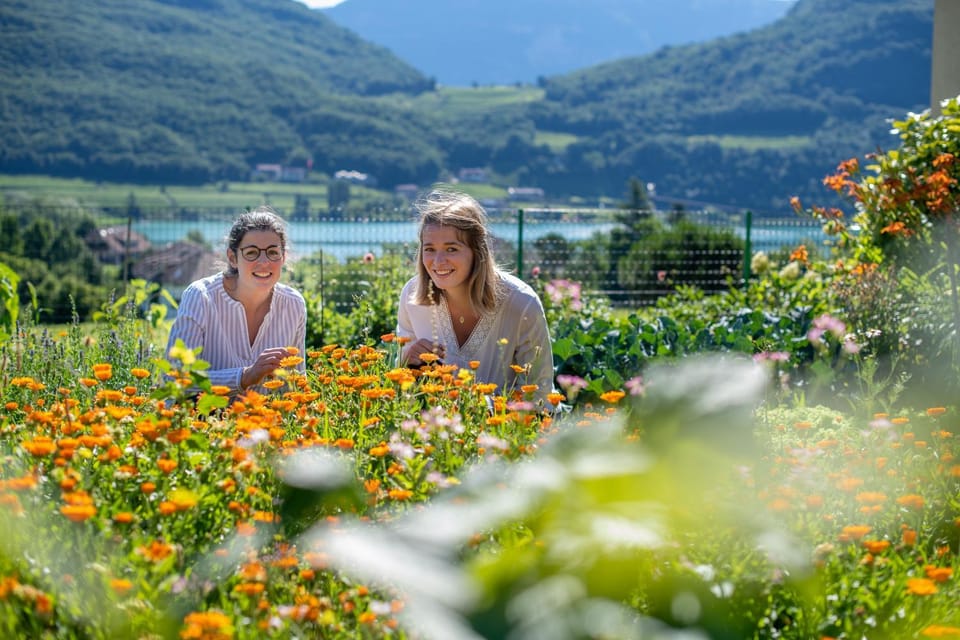 Spring, Day, People, Natural landscape, Garden, Lake view