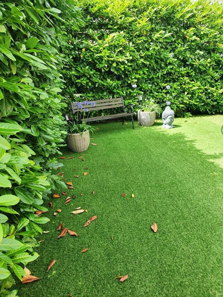 Garden view
