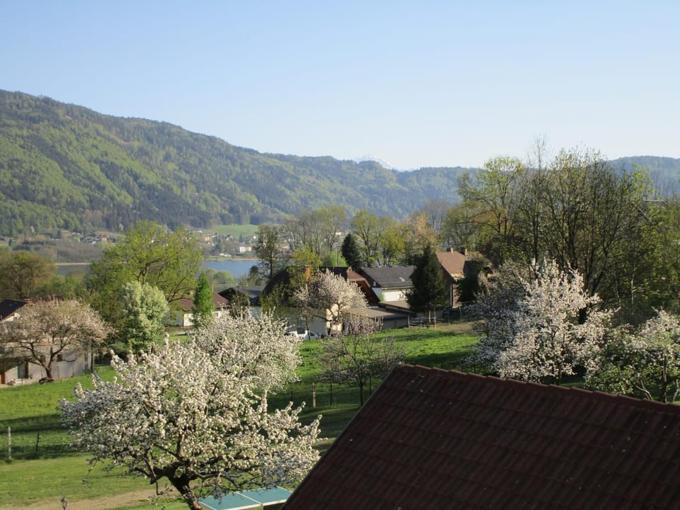 Natural landscape, Lake view, Mountain view