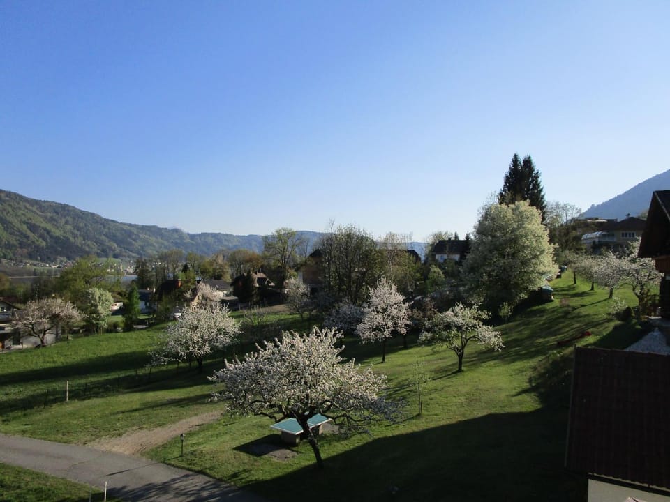 Garden view, Lake view