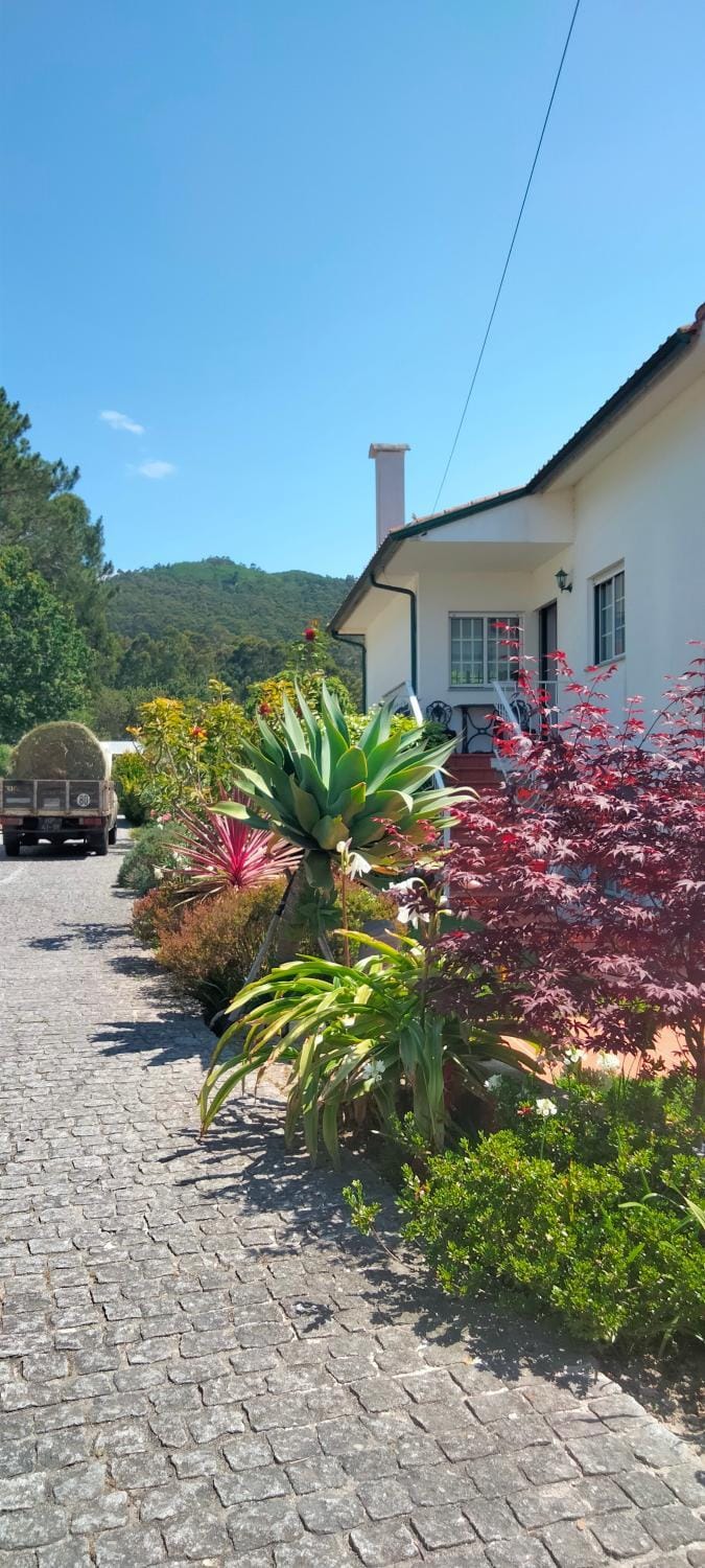 Property building, Natural landscape, Garden view, Mountain view