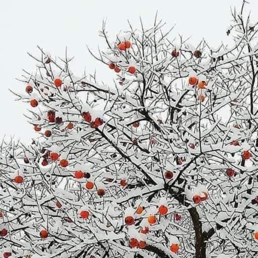 Winter, Landmark view