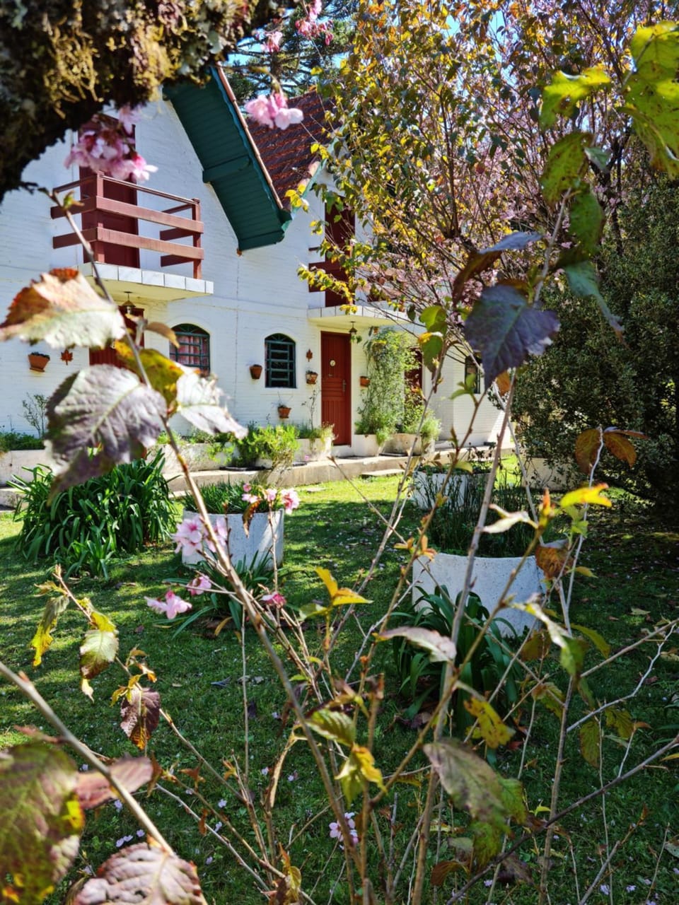 Property building, Garden, Garden view