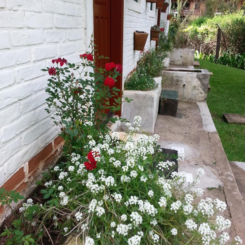 Facade/entrance, Garden