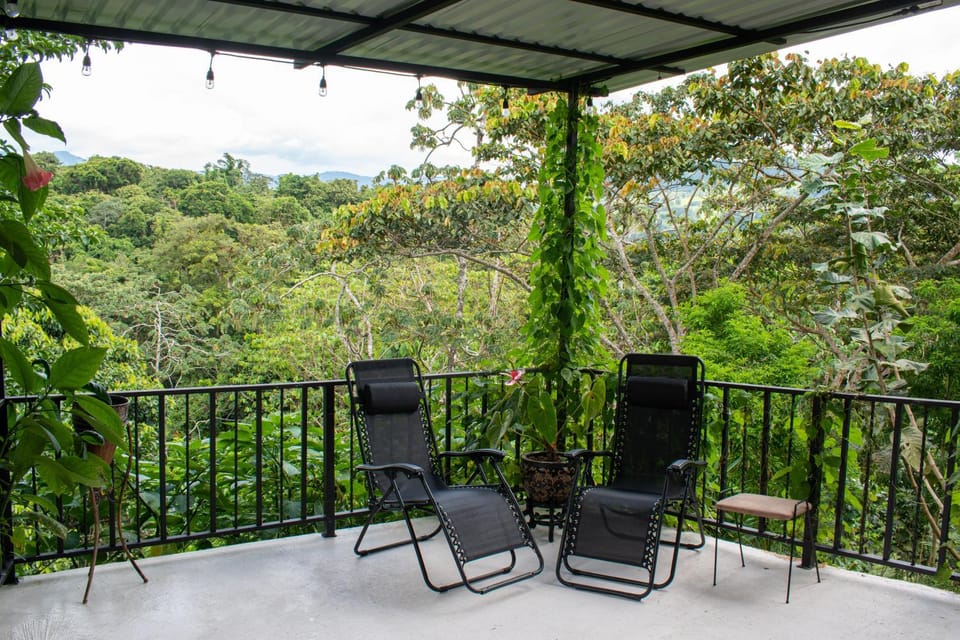 Patio, Natural landscape, Seating area