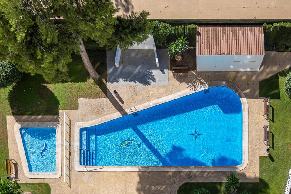 Day, Garden, Pool view, Swimming pool