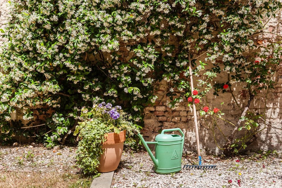 Garden, Decorative detail