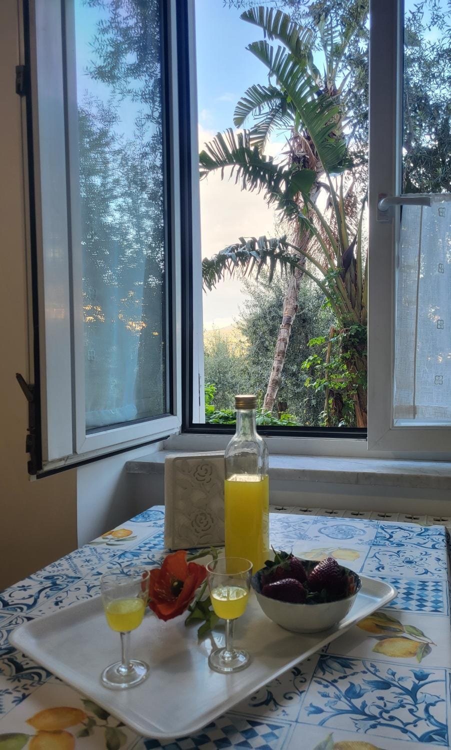 Dining area, Garden view