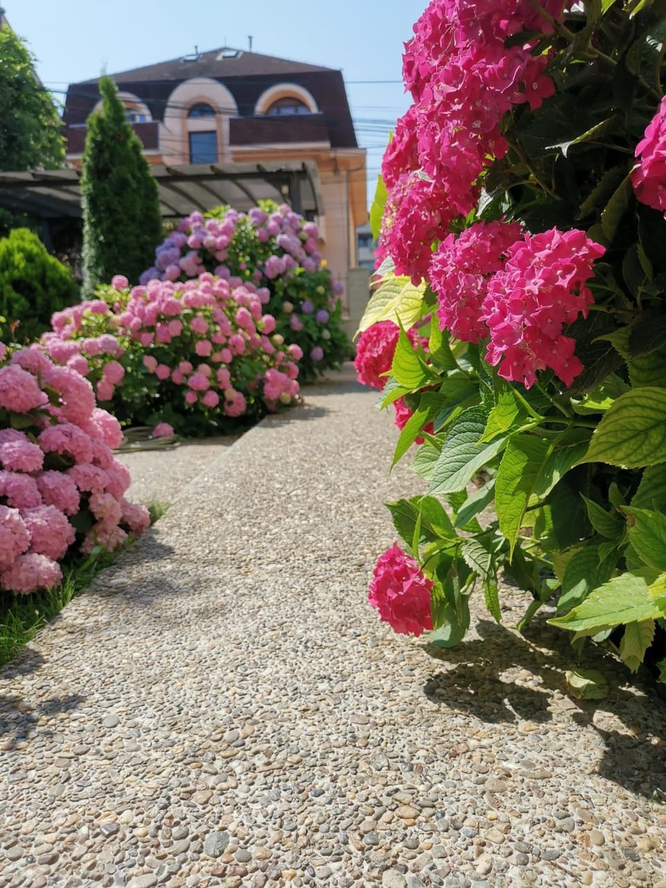 Garden, Garden view