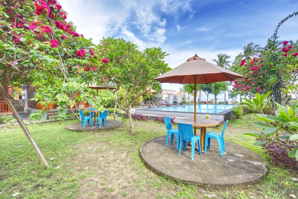 Garden, Garden view, Pool view, Swimming pool, sunbed
