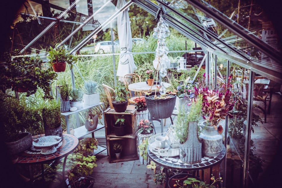Restaurant/places to eat, Spring, Day, Garden, Food and drinks, Banquet/Function facilities, Food, Garden view
